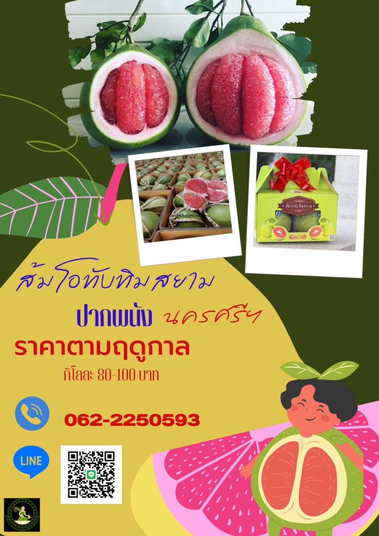 ส้มโอทับทิมสยาม-จ ส้มโอทับทิมสยาม-จ