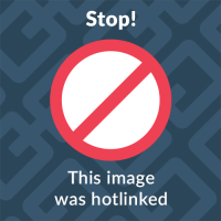 S__19095577_0
